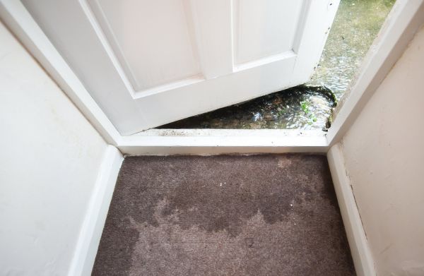 Wet Carpet Restoration in Galveston