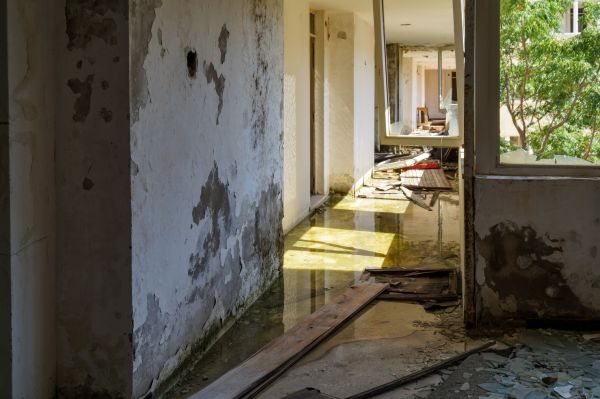 Cost of Water Removal Service in Galveston