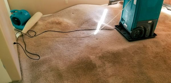 Carpet Water Extraction in Galveston
