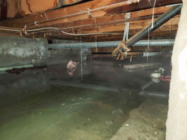 Crawlspace Water Restoration in Galveston